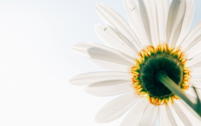 img-https://www.curolegal.com/wp-content/uploads/2015/07/832OF9DX151000x700-407x254.jpg
