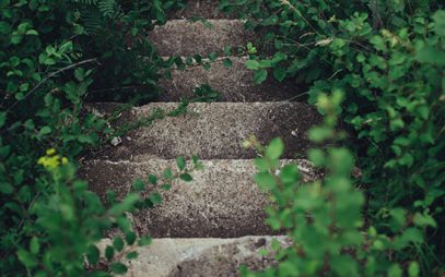 img-https://www.curolegal.com/wp-content/uploads/2016/08/StepsCL-407x254.jpg